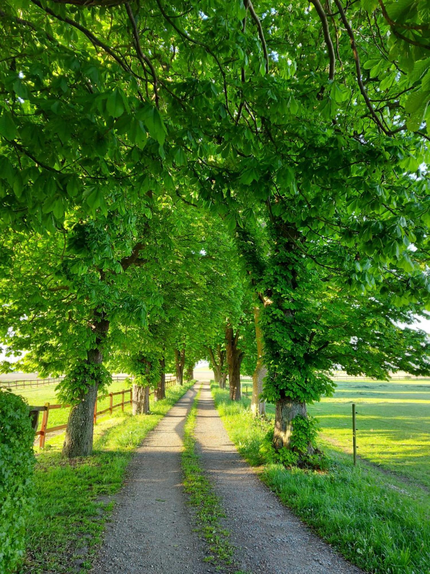 Lantligt Och Lugnt Boende Naera Natur Och Stad Svedala Esterno foto