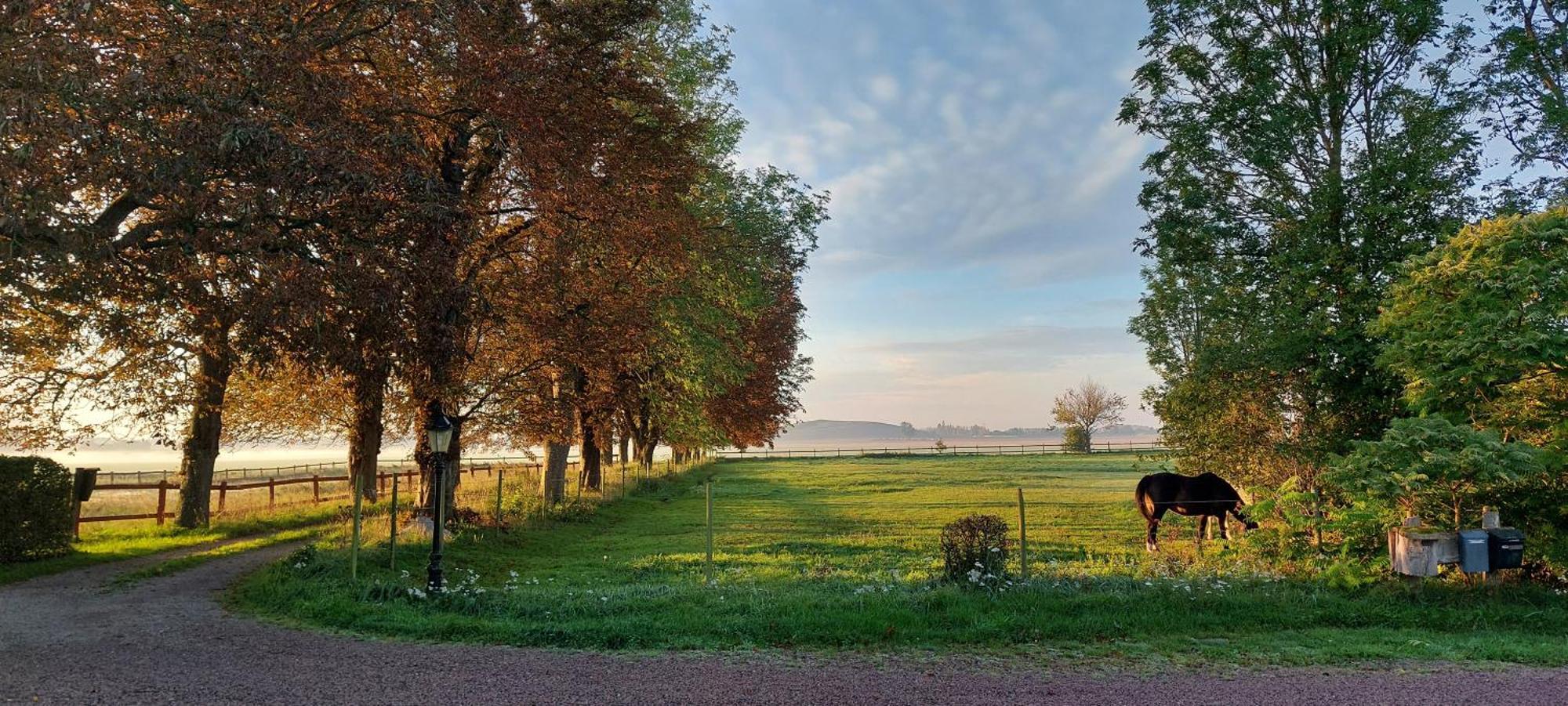 Lantligt Och Lugnt Boende Naera Natur Och Stad Svedala Esterno foto