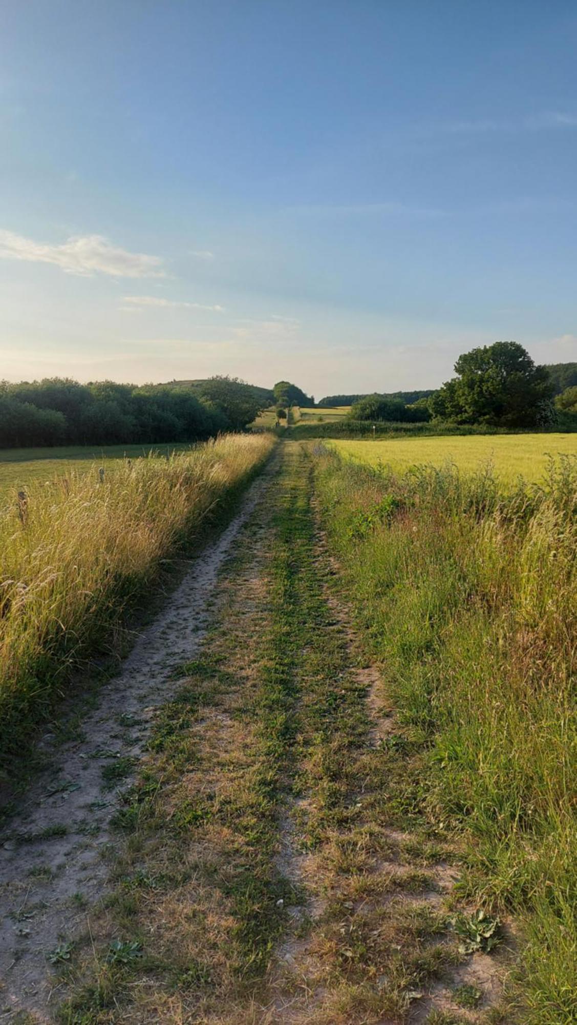 Lantligt Och Lugnt Boende Naera Natur Och Stad Svedala Esterno foto