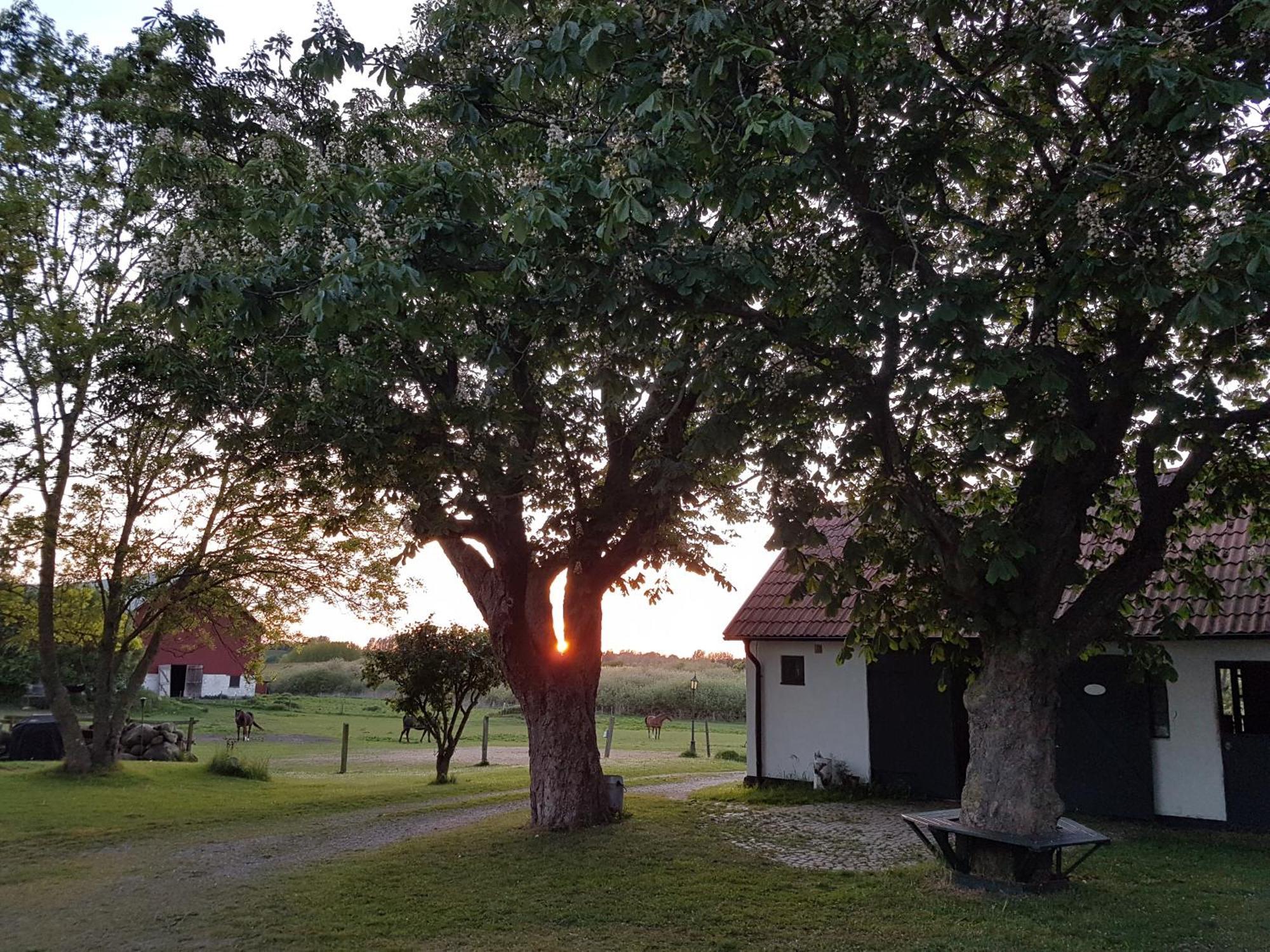 Lantligt Och Lugnt Boende Naera Natur Och Stad Svedala Esterno foto