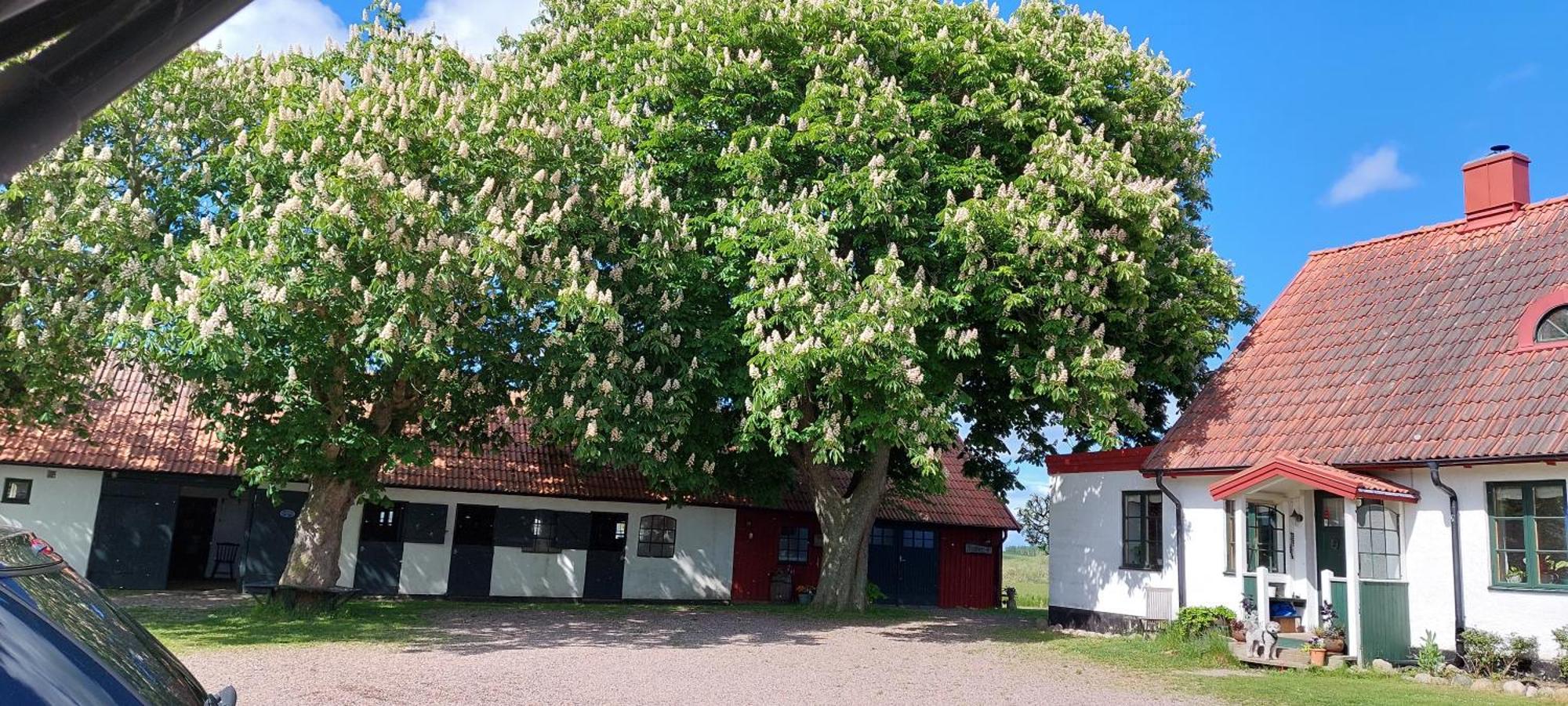 Lantligt Och Lugnt Boende Naera Natur Och Stad Svedala Esterno foto