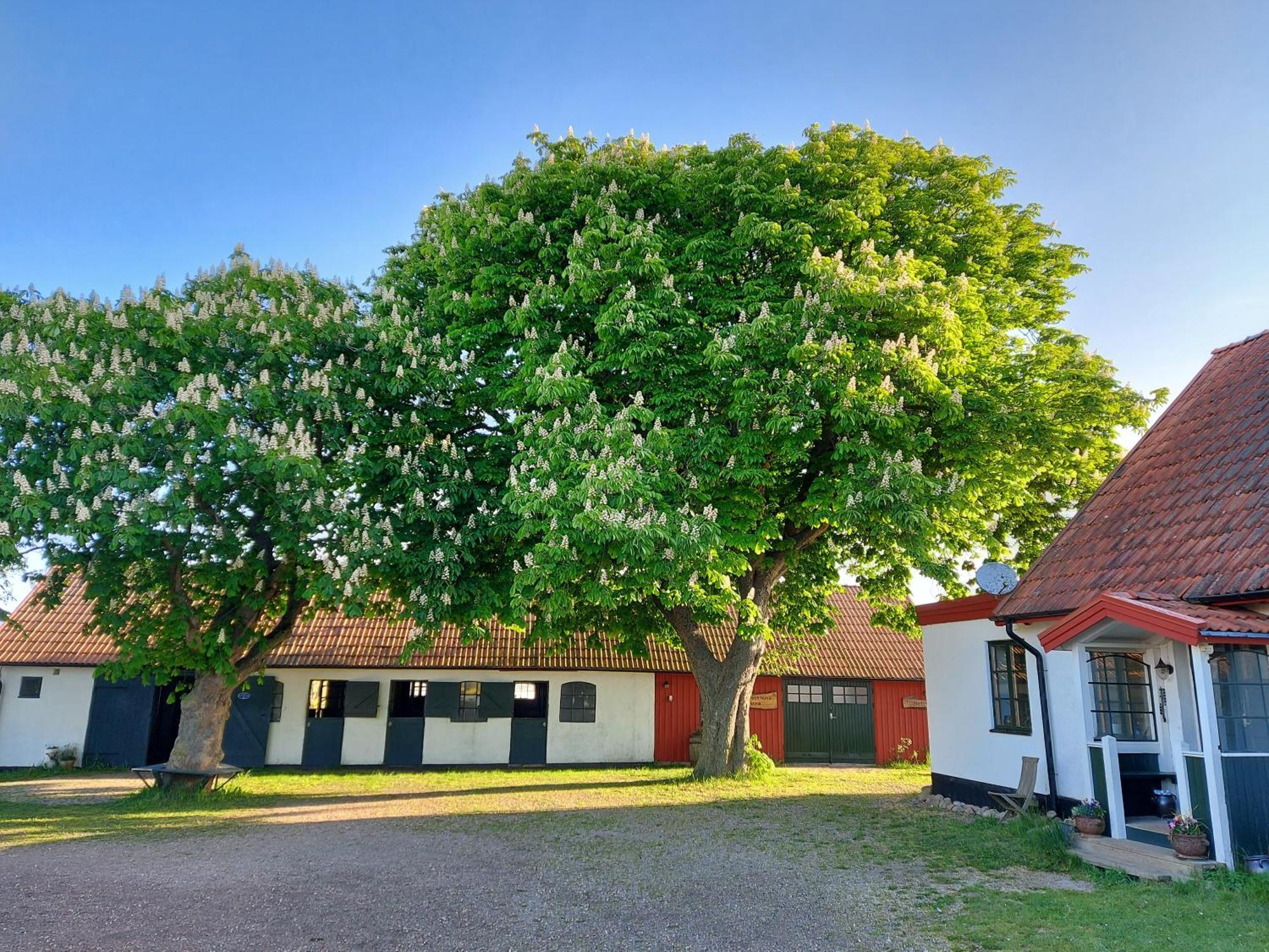 Lantligt Och Lugnt Boende Naera Natur Och Stad Svedala Esterno foto
