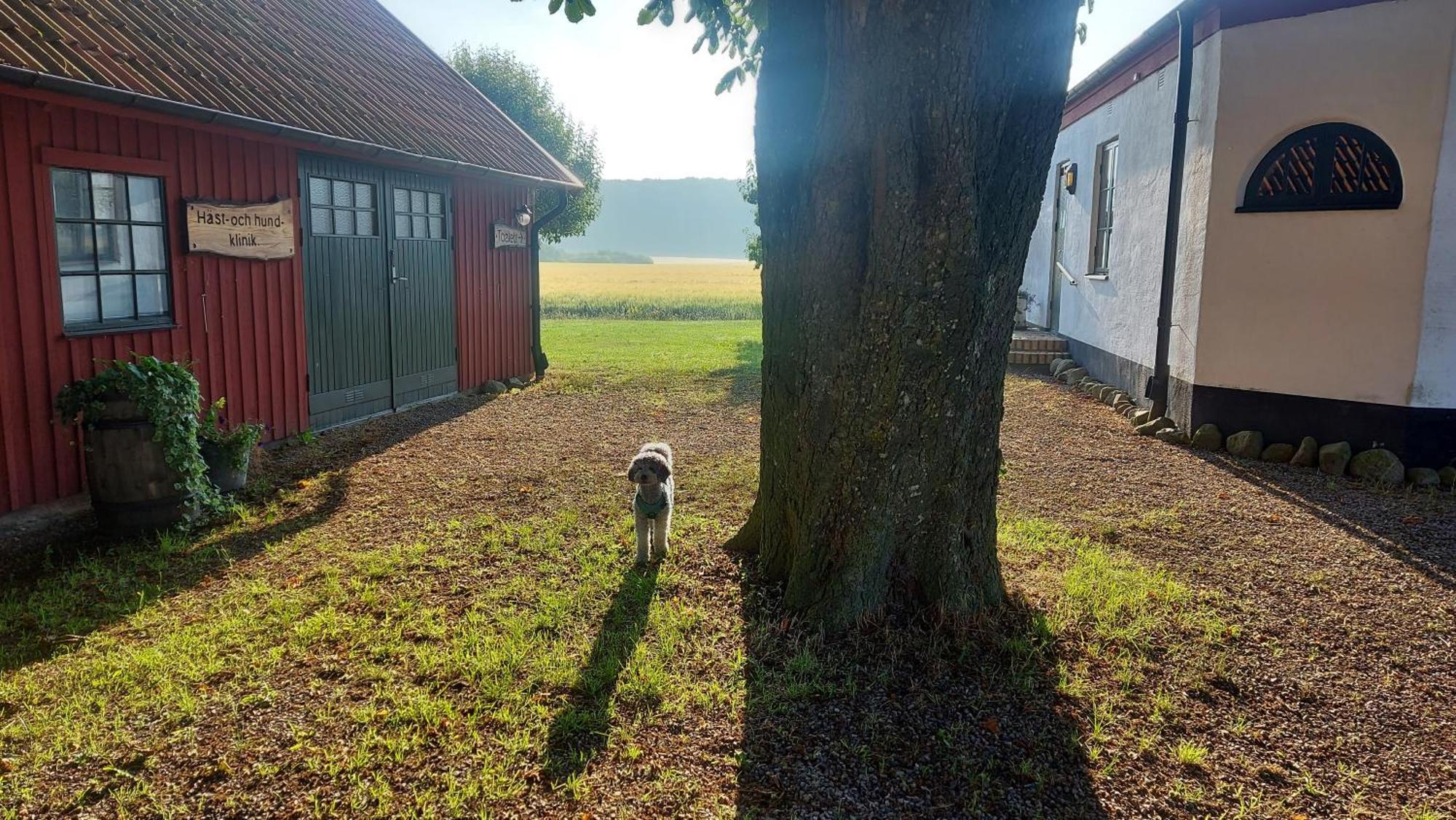 Lantligt Och Lugnt Boende Naera Natur Och Stad Svedala Esterno foto