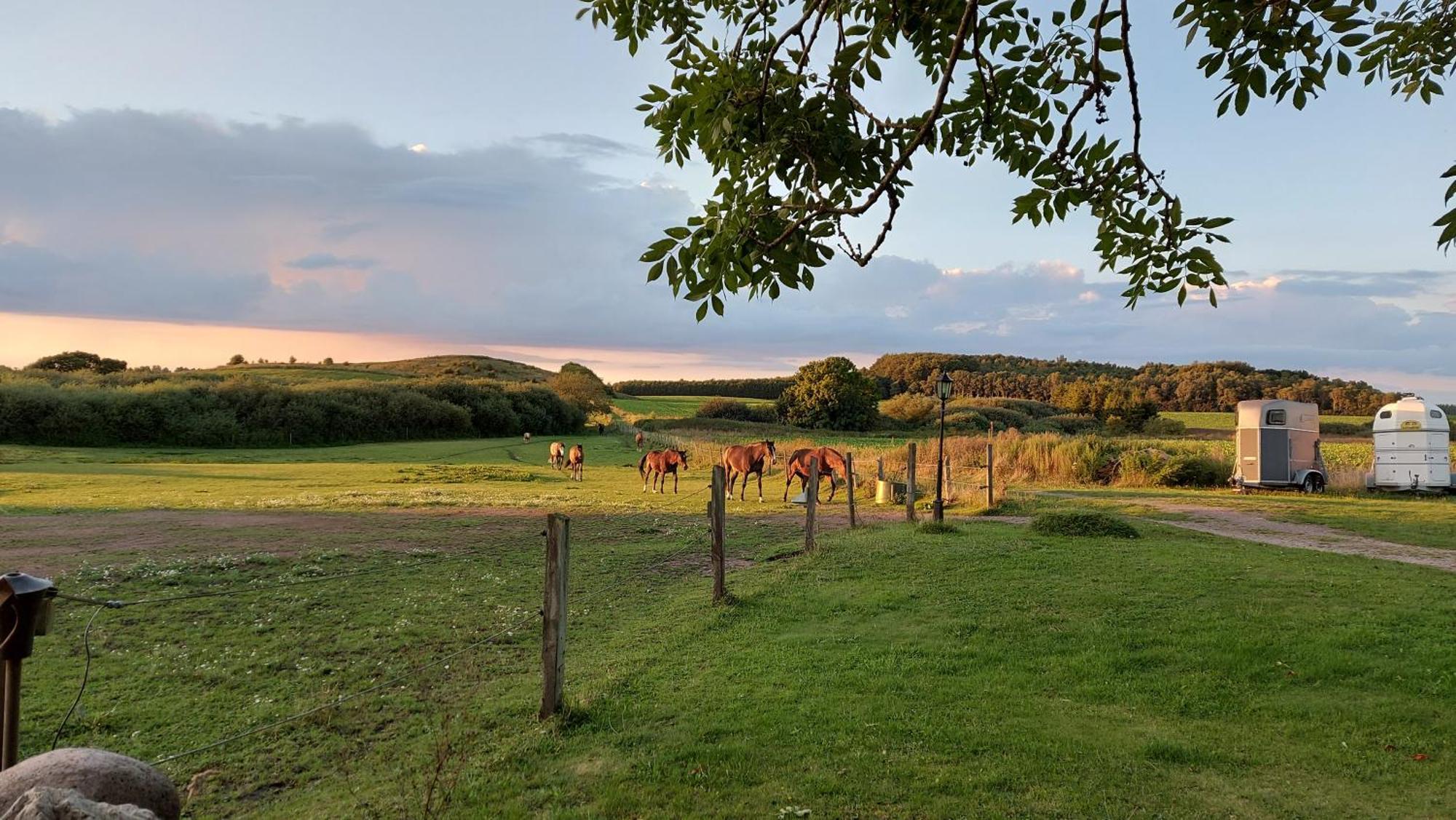 Lantligt Och Lugnt Boende Naera Natur Och Stad Svedala Esterno foto