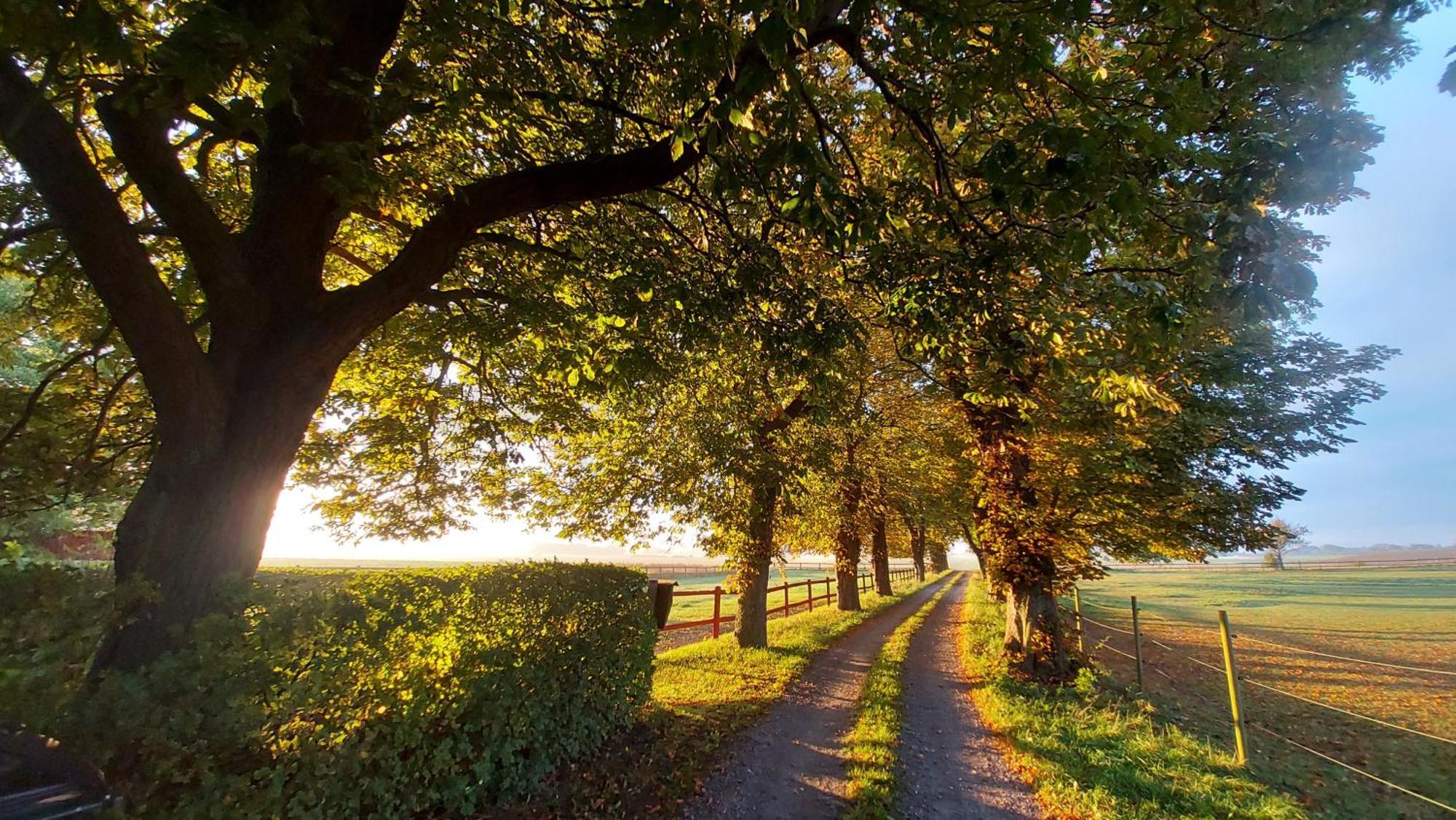 Lantligt Och Lugnt Boende Naera Natur Och Stad Svedala Esterno foto